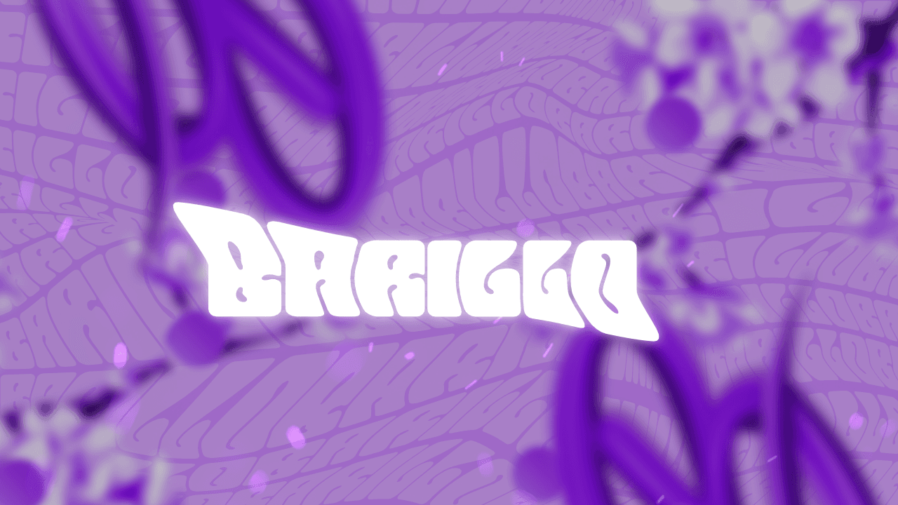 Bannière pour serveur FiveM Barillo